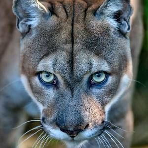 Meet your Posher, Katrina